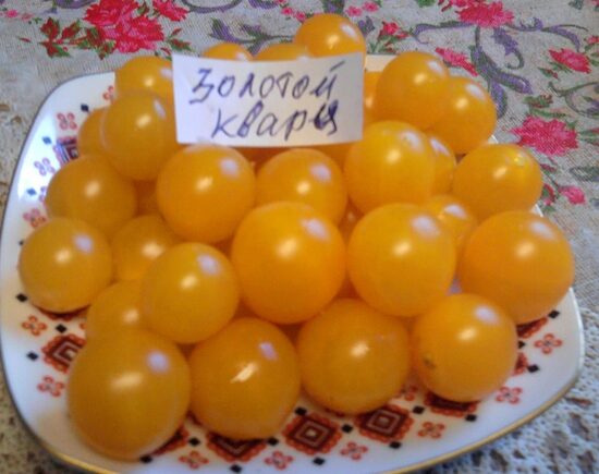 Золотой Кварц